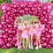 Chrome Hot Pink Balloons Arch Kit, 100 Packs Different Sizes 12 10 5 Inches Metallic Fuschia Pink Balloon Garland Arch Kit, Shiny Fuchsia Balloons for Girls Women Birthday Wedding Decoration